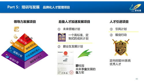 賦能組織，驅(qū)動(dòng)未來 鳳廠人力資源管理體系構(gòu)建與優(yōu)化